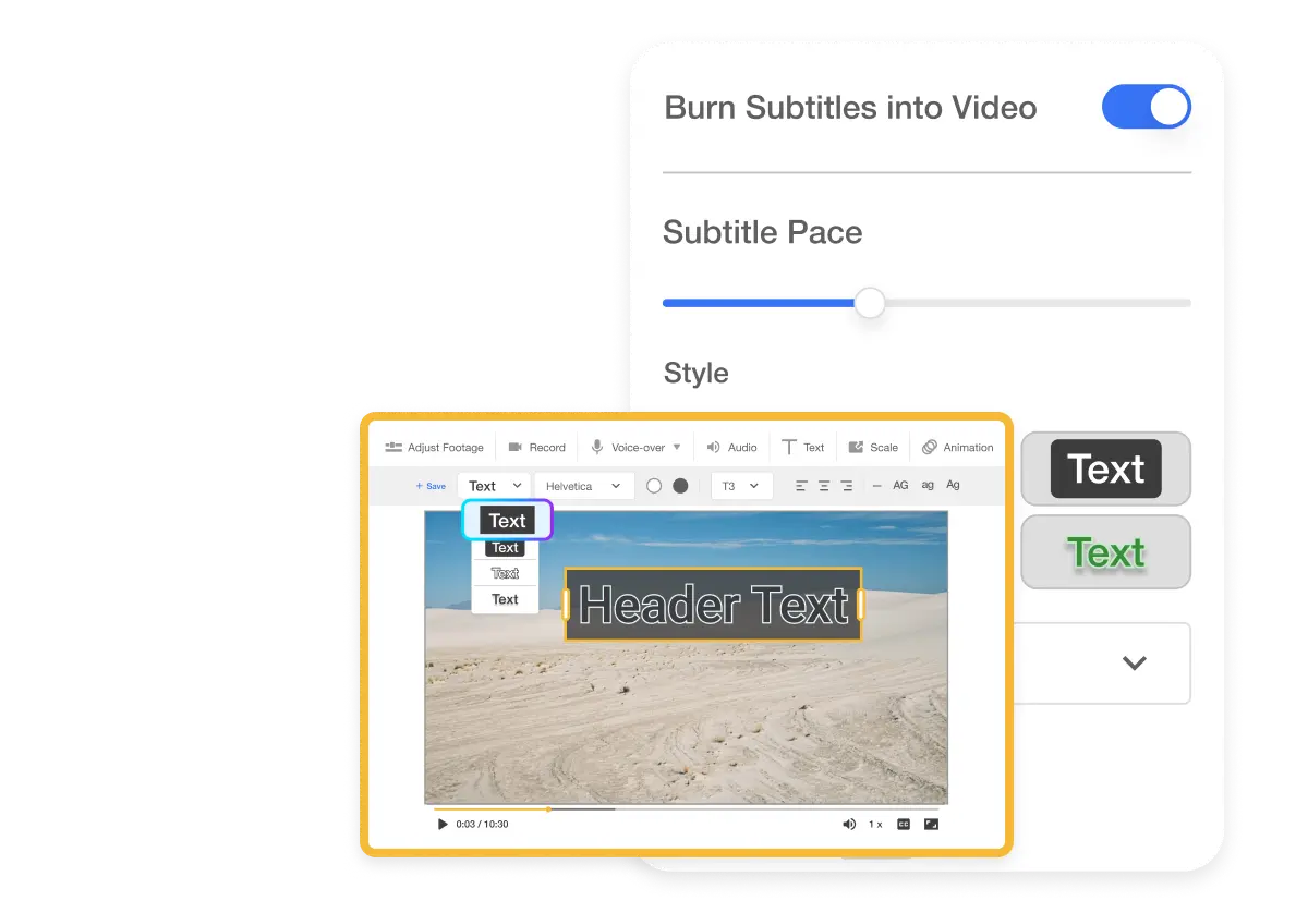 Webpage section titled 'AI Writes Text, You Save Time' highlights how the AI Video Editor automates the creation of subtitles and on-screen text like headers or bullet points to make videos more accessible and informative, with a preview of subtitle settings in the video editing interface.